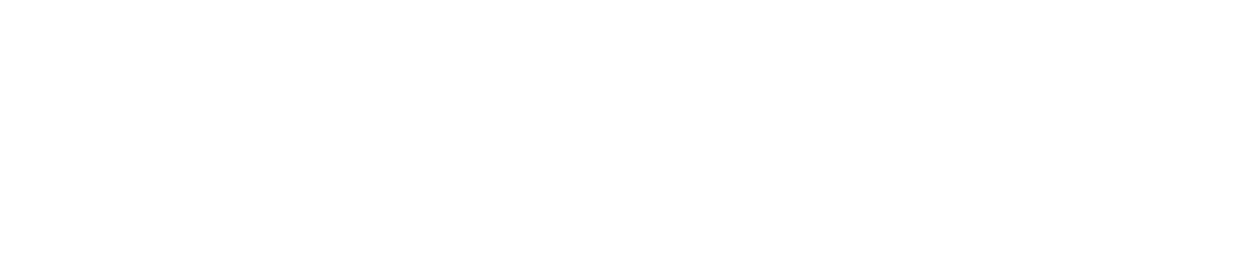 Neds Logo-white