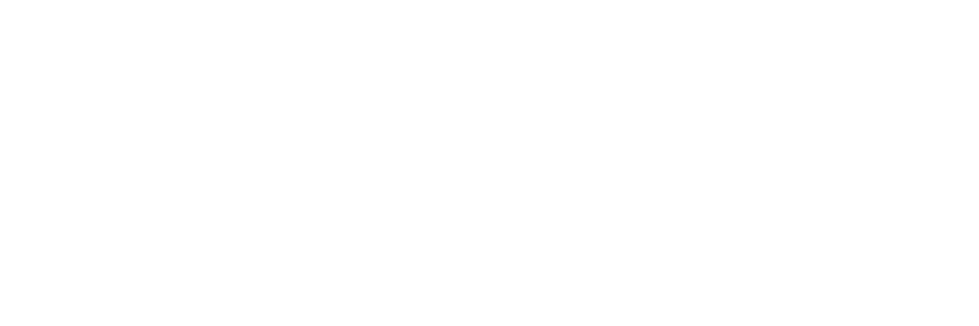 Valeo_Networks_Logo.webp-white